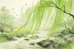 贺知章：把春天写得很大声
