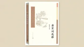 唐宋词选释