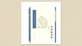 辛弃疾词选