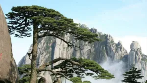 黄山
