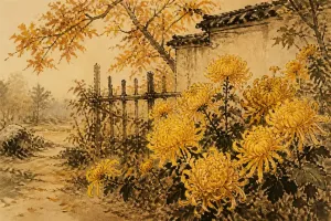 菊花