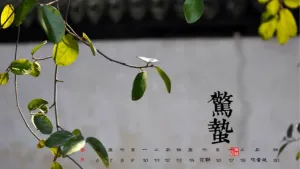 惊蛰