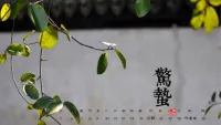 惊蛰