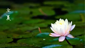 立夏