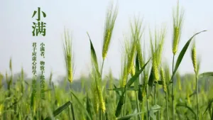 小满
