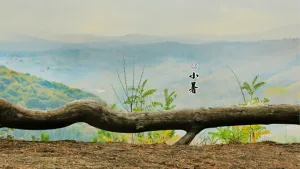 小暑