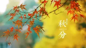 秋分