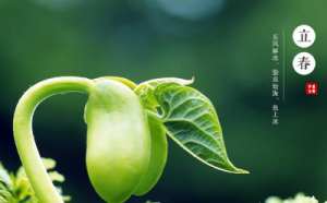 描写节气的诗词